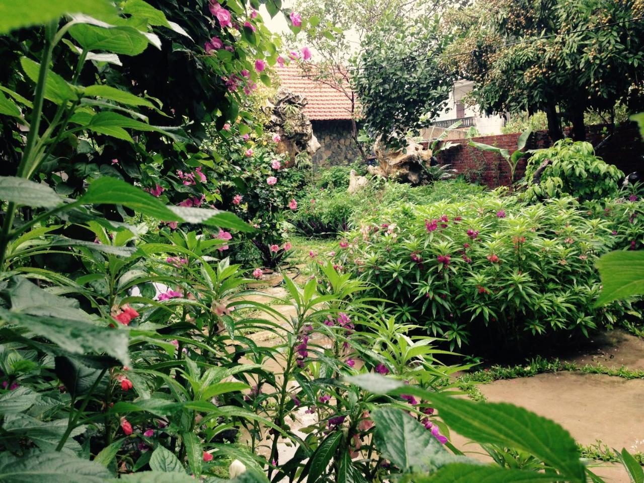 Mr. Viet Home Stay นิญบิ่ญ ภายนอก รูปภาพ