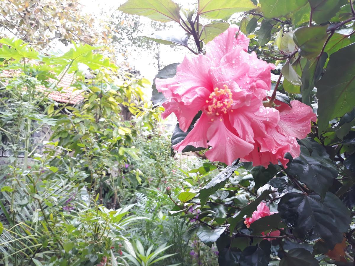 Mr. Viet Home Stay นิญบิ่ญ ภายนอก รูปภาพ