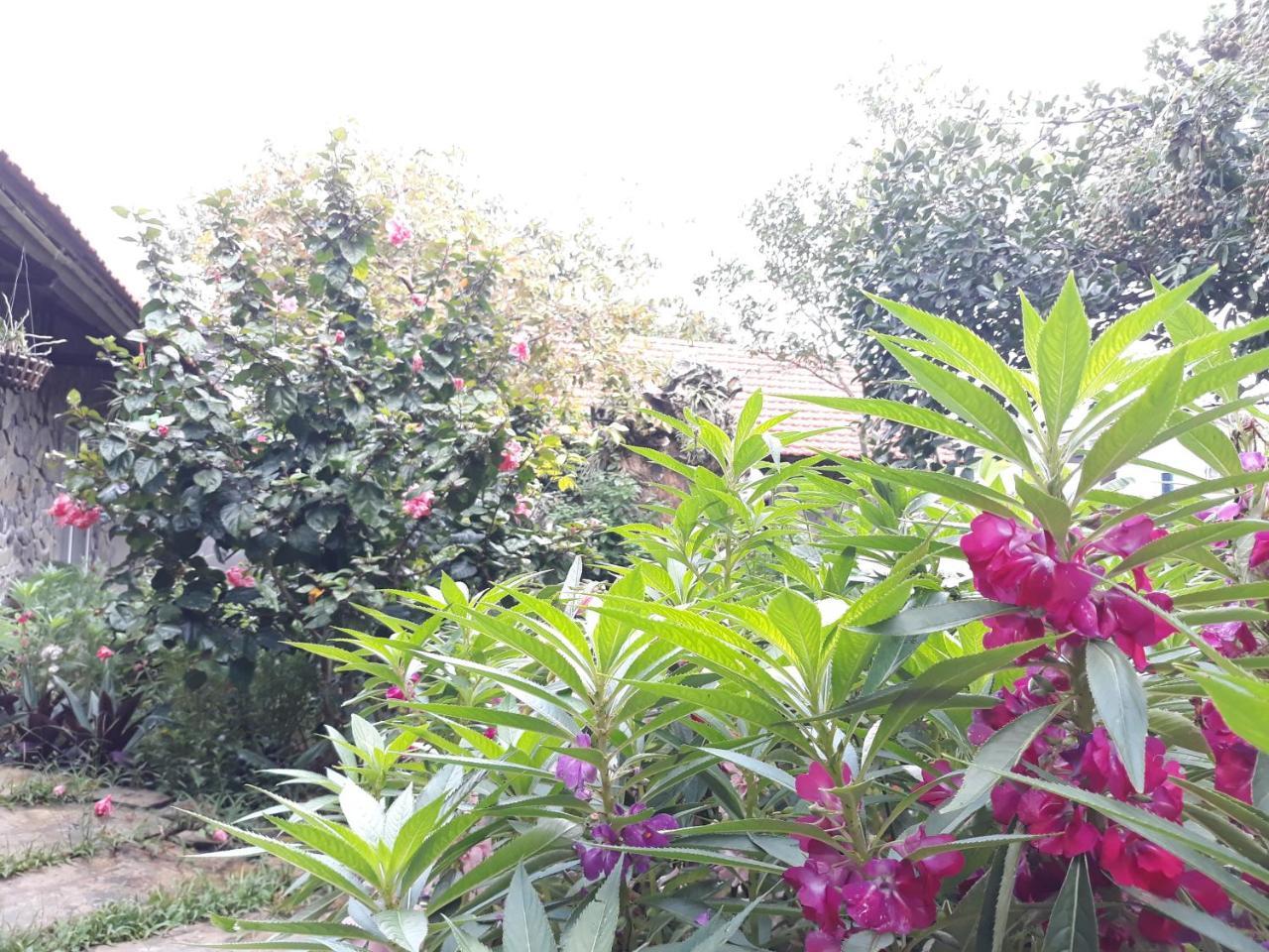 Mr. Viet Home Stay นิญบิ่ญ ภายนอก รูปภาพ